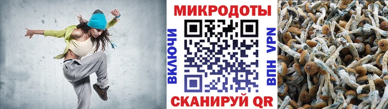 Галлюциногенные грибы мухоморы  Бородино 